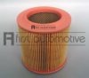 GM 25062222 Air Filter